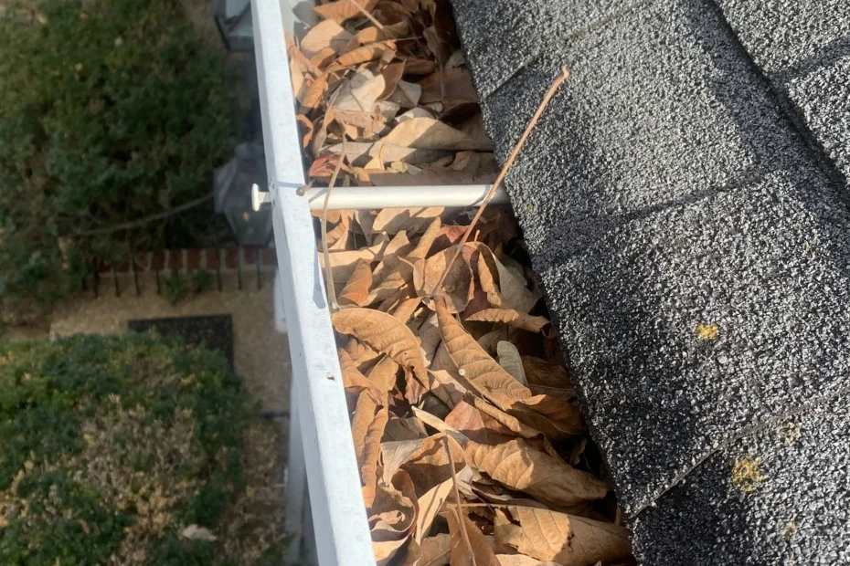 Gutter Cleaning Hypoluxo FL