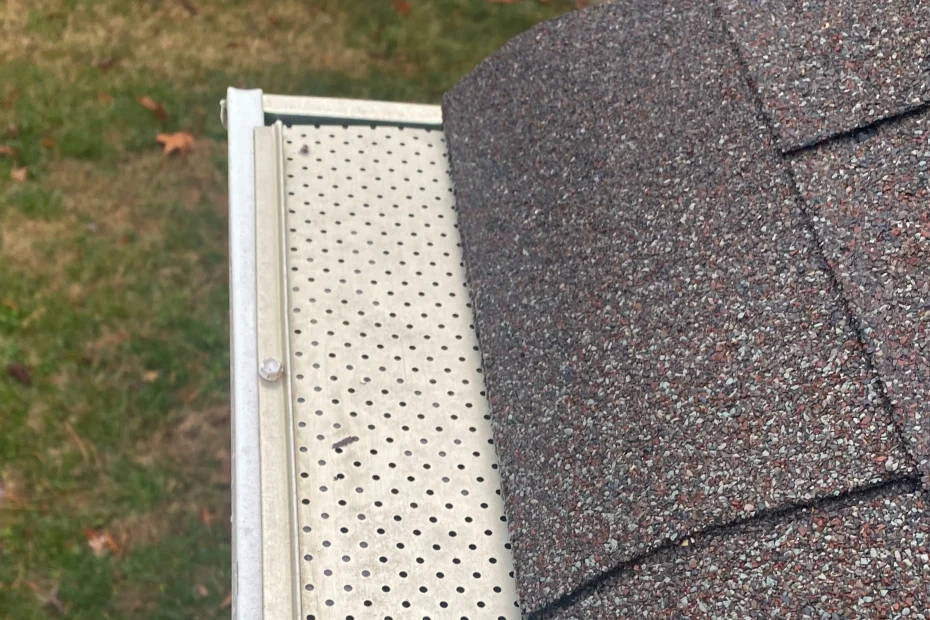 Gutter Cleaning Hypoluxo FL